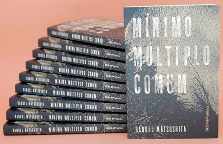 minimo-multiplo-comum-livros-site2