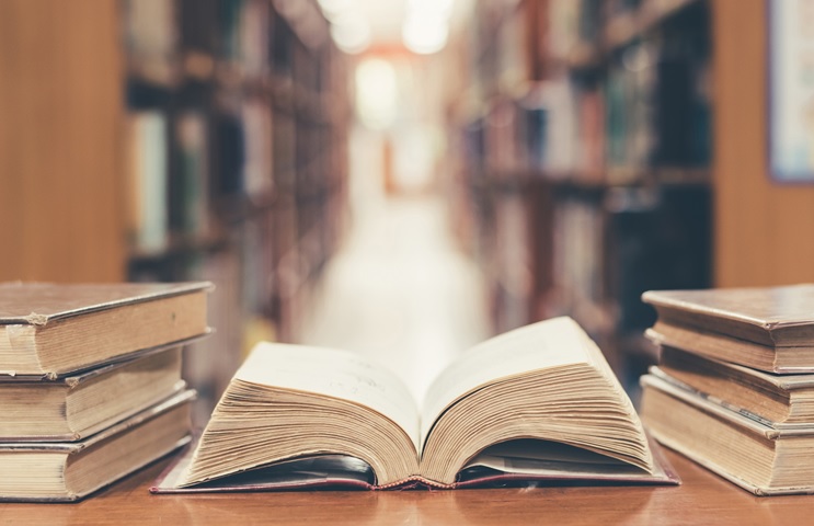 dia bibliotecário – site